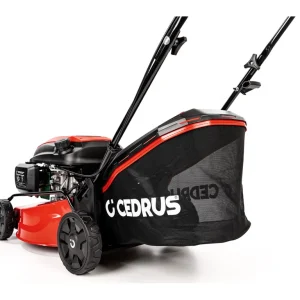Hahn & Sohn Cedrus KS42 – Benzin-Rasenmäher ohne Antrieb, Y145V-Motor