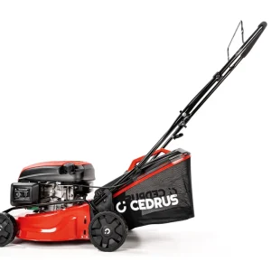 Hahn & Sohn Cedrus KS42 – Benzin-Rasenmäher ohne Antrieb, Y145V-Motor