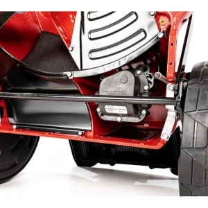 Hahn & Sohn Cedrus KS53S-H AL – Benzin-Rasenmäher mit Antrieb und Aluminiumgehäuse, Honda GCV200