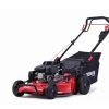 Hahn & Sohn Cedrus LP53S-L – Premium-Benzin-Rasenmäher mit Antrieb, Loncin LC1P75F-Motor