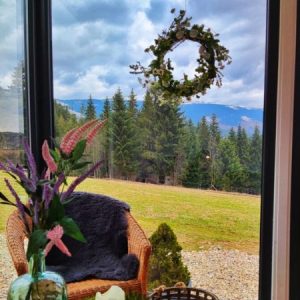 Tiny House  mit Empore – Panorama-Fensterfront über volle Höhe – Zeitgenössischer Chalet-Stil